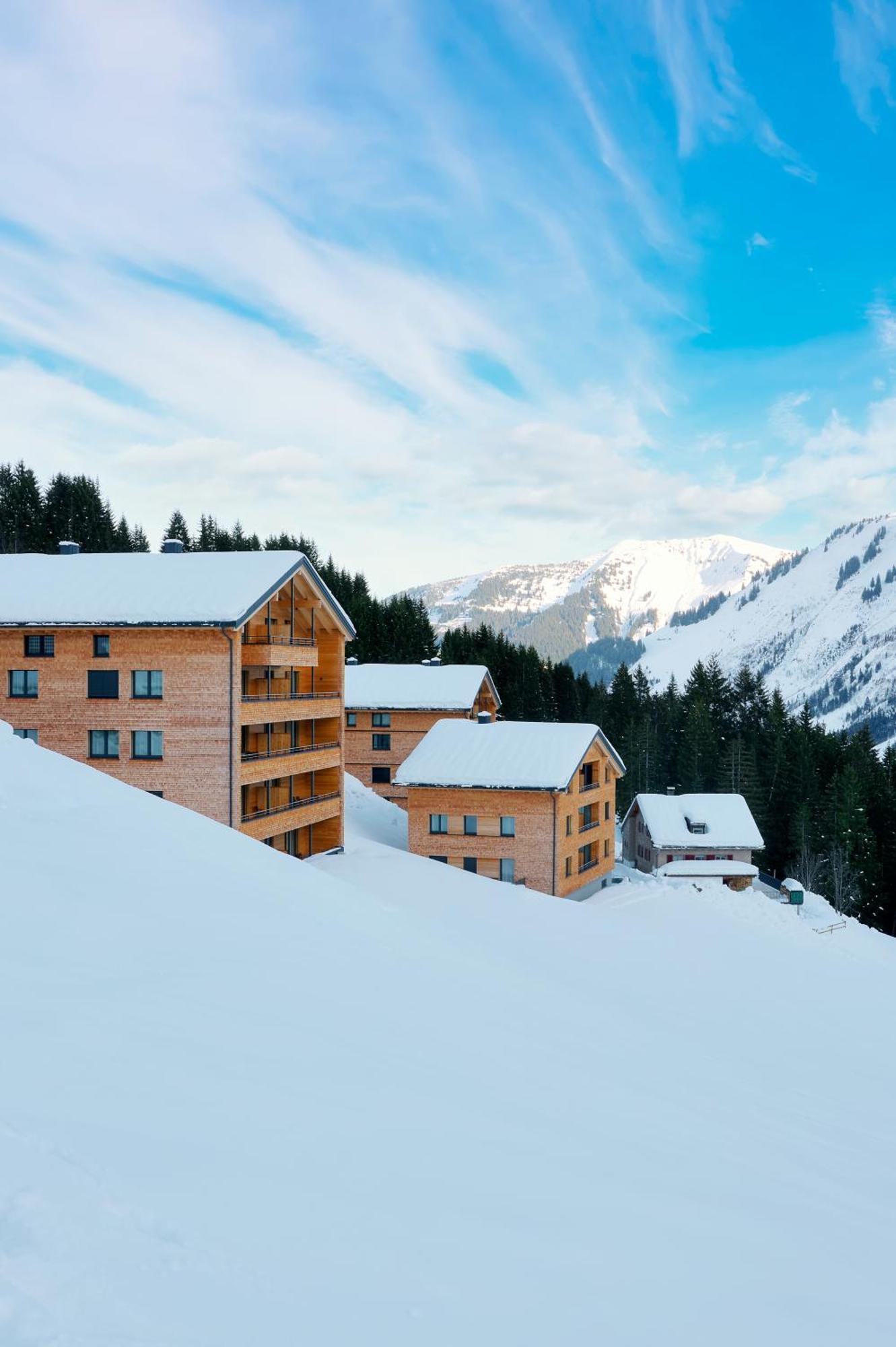 Alpenstolz Damuels Haus 4 - Stilvoll Urlauben In Den Bergen Apartment Exterior photo